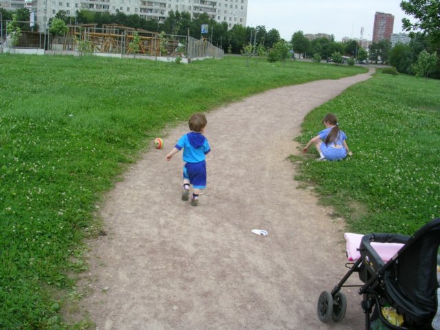 Photograph